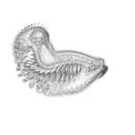 Just alive (with no particular aim) 20241106