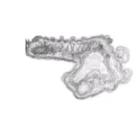 Just alive (with no particular aim) 20241113