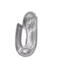 Just alive (with no particular aim) 20241115