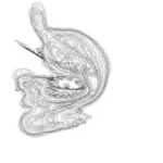 Just alive (with no particular aim) 20241119