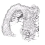 Just alive (with no particular aim) 20241122