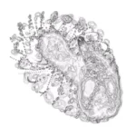 Just alive (with no particular aim) 20241124