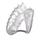 Just alive (with no particular aim) 20241208