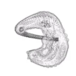 Just alive (with no particular aim) 20241210