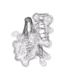 Just alive (with no particular aim) 20241218