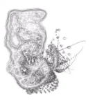 Just alive (with no particular aim) 20241223