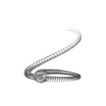 Just alive (with no particular aim) 20241229