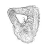 Just alive (with no particular aim) 20250103