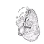 Just alive (with no particular aim) 20250105