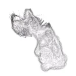 Just alive (with no particular aim) 20250131