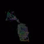 Just alive (with no particular aim) 20250403