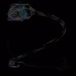 Just alive (with no particular aim) 20250413