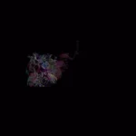 Just alive (with no particular aim) 20250415